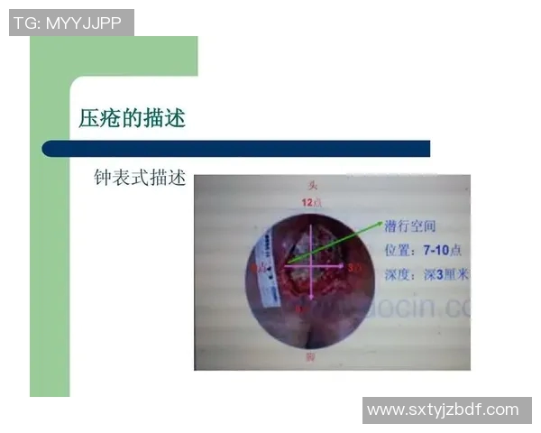 欧塞尔与克维伊对决分析及双方近期状态评估
